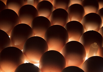 恒峰g22·(中国区)官网入口-天天有惊喜