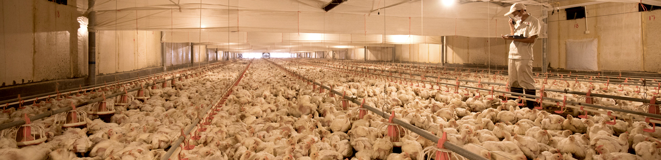 恒峰g22·(中国区)官网入口-天天有惊喜