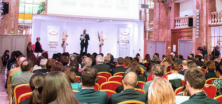 恒峰g22·(中国区)官网入口-天天有惊喜