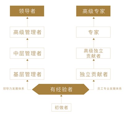 恒峰g22·(中国区)官网入口-天天有惊喜