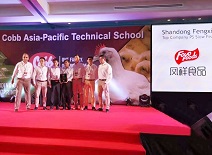 恒峰g22·(中国区)官网入口-天天有惊喜