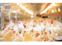 恒峰g22·(中国区)官网入口-天天有惊喜