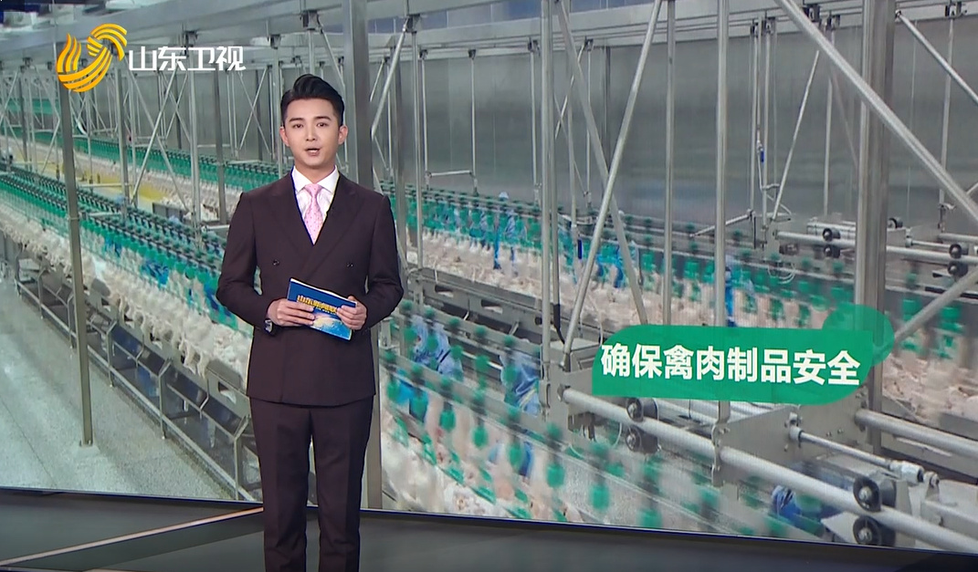 恒峰g22·(中国区)官网入口-天天有惊喜