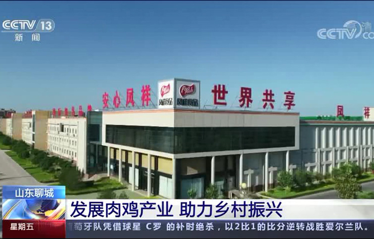 恒峰g22·(中国区)官网入口-天天有惊喜