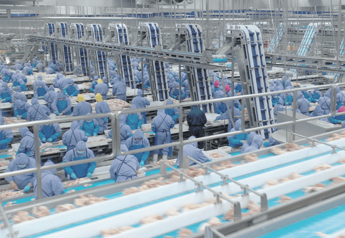 恒峰g22·(中国区)官网入口-天天有惊喜