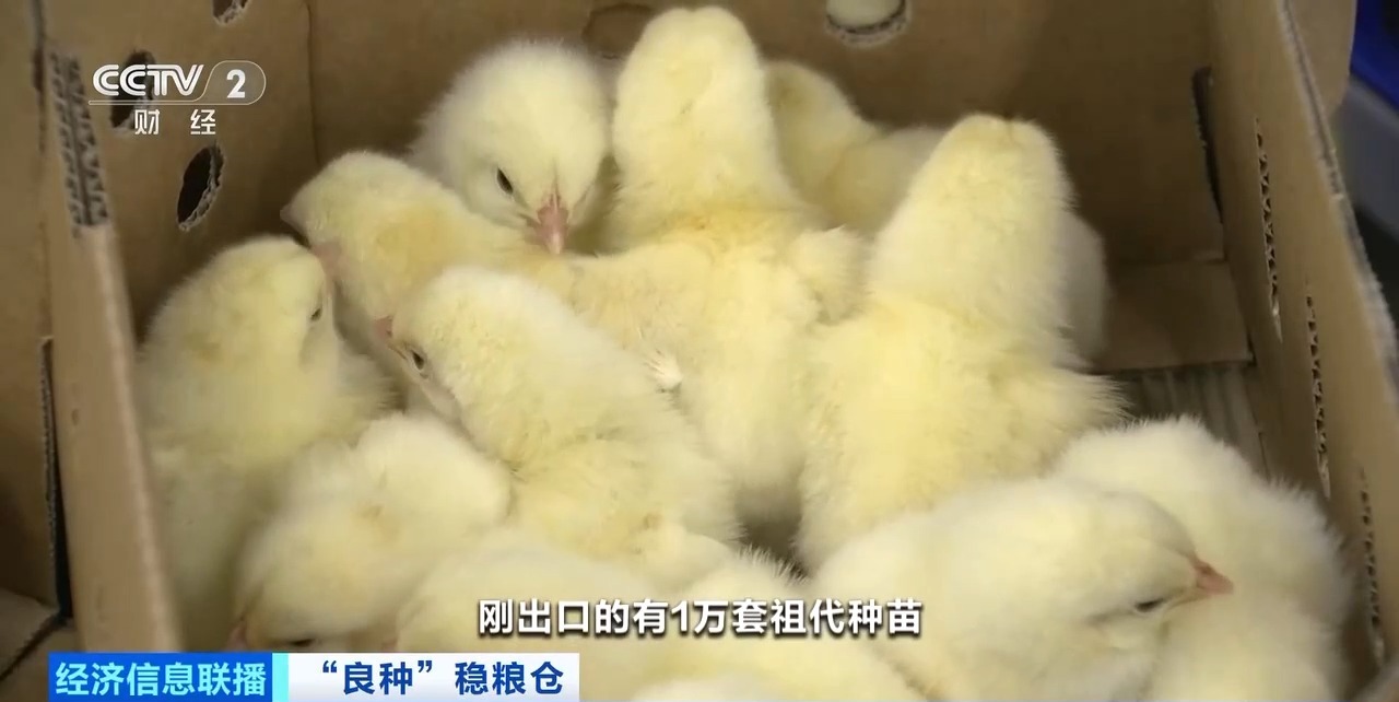 20260408094234_86644 恒峰g22·(中国区)官网入口-天天有惊喜